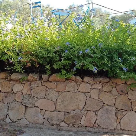 Tatil Evi Porto Rotondo *